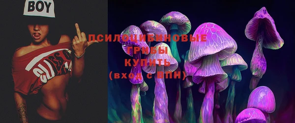 ECSTASY Волосово